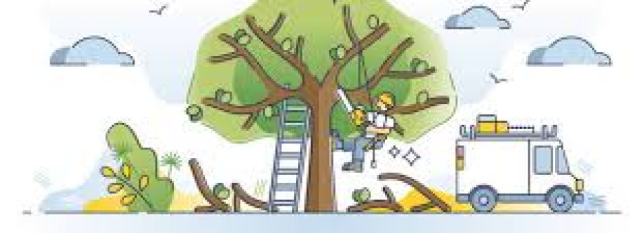 Florida Tree Service Cover Image