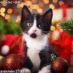 Eunice Buckridge Profile Picture