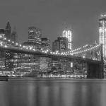 Josiane Altenwerth Profile Picture