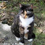 Marion Gutmann Profile Picture