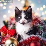 Abagail Reilly Profile Picture