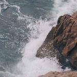 Queen Carroll Profile Picture