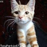 Madisen McDermott Profile Picture