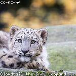 Eliseo Rempel Profile Picture