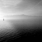 Jackie Sauer Profile Picture