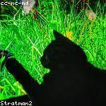 Erika Gutkowski Profile Picture