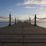 Pattie Bartell Profile Picture