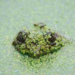 Quinn Fahey Profile Picture