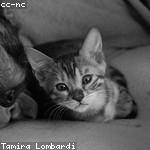 Norma Steuber Profile Picture