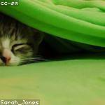 Nya Quigley Profile Picture