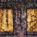 Daisha Rempel Profile Picture