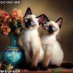 Carolanne Harris Profile Picture