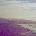 Gail Mante Profile Picture