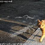 Eleanora Lueilwitz Profile Picture