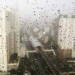 Nayeli Lind Profile Picture