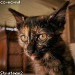 Tabitha Mraz Profile Picture