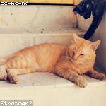 Kiera Lueilwitz Profile Picture