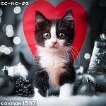 Makenna Herman Profile Picture