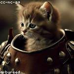 Houston Harris Profile Picture