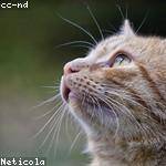 Clinton Johnston Profile Picture