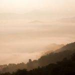 Octavia Daugherty Profile Picture