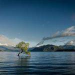 Allan Treutel Profile Picture