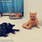 Jasmin Hand Profile Picture