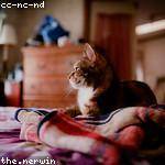 Levi Wiegand Profile Picture