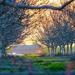 Kamryn Schimmel Profile Picture