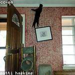 Roslyn Stark Profile Picture