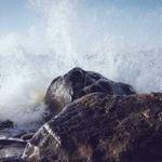 Eldora Green Profile Picture