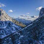 Garnet Mertz Profile Picture