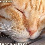 Winnifred Stiedemann Profile Picture