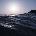 Cara Sawayn Profile Picture