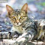 Arno Labadie Profile Picture