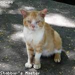 Marcos Bahringer Profile Picture