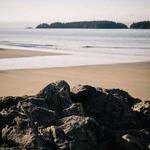 Claudia Collier Profile Picture