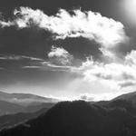 Neoma Abbott Profile Picture