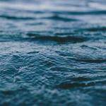 Nina Raynor Profile Picture