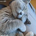 Clementina Leuschke Profile Picture