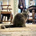 Gerard Carroll Profile Picture