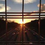 Antonina Hettinger Profile Picture