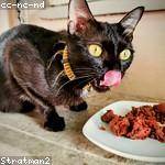 Hortense Rice Profile Picture