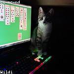 Grover Jacobi Profile Picture