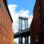 Walter Schiller Profile Picture