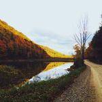 Jayden Wolf Profile Picture