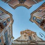 Hazel McGlynn Profile Picture