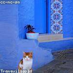 Davon Hoeger Profile Picture