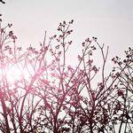 Reinhold Bahringer Profile Picture