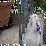 Lavonne Hill Profile Picture